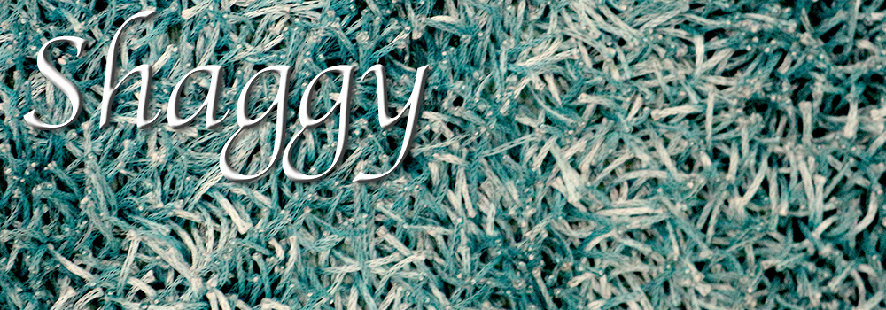 SHAGGY