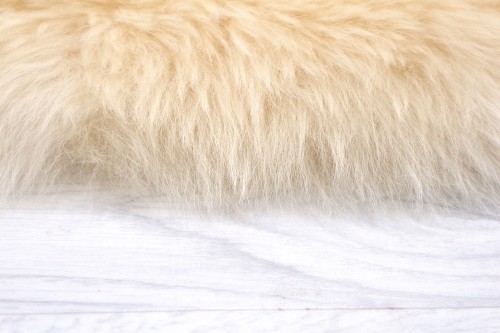 JSK000SCR CREAM B