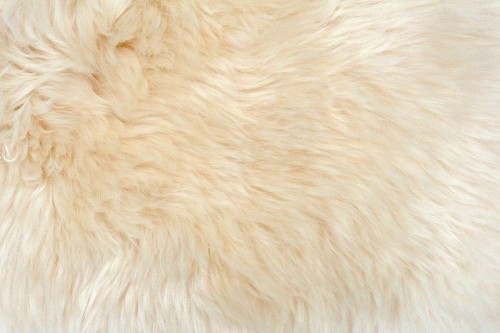 JSK000SCR CREAM C