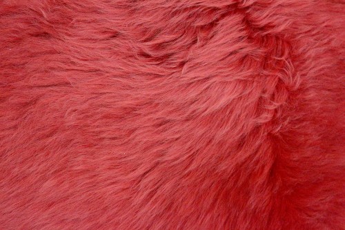 JSK000SDE DEEP RED B