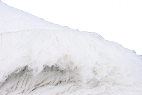 100% Wool Cream Flokati Premium Rug Handknotted in Greece with a 45mm pile Image 2