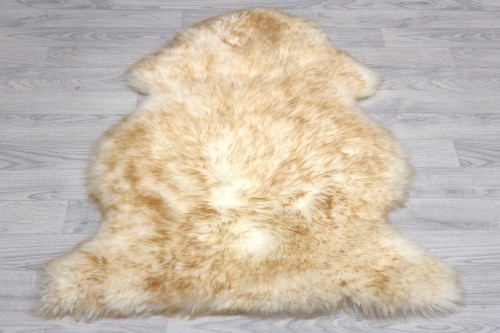 JSK000SBH BLENHEIM A