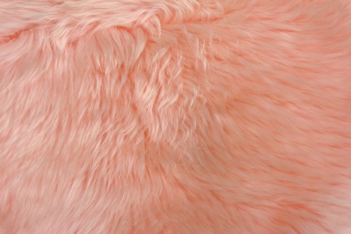 JSK000DRO ROSE C