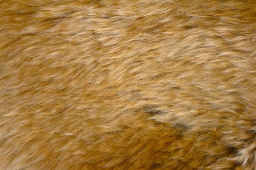 JSK000SMK MINK C