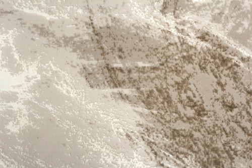 NST001 c2